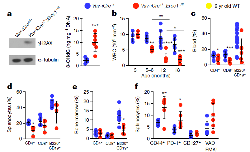 原子钟精确值和优缺点 4e0930b649d94ea49c42d6d5b455dbac.png