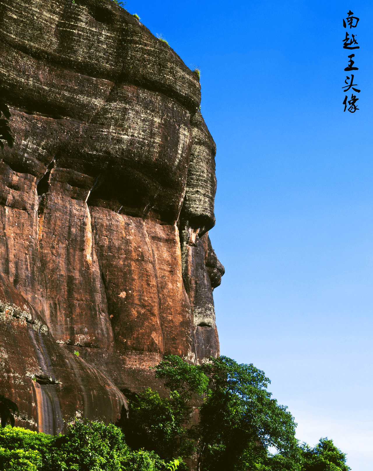 走遍江南古竹好古竹最美越王山