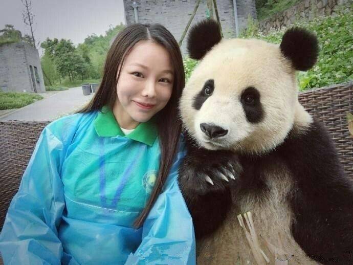 熊猫滚滚自拍合影耍心机,凹造型抢镜头,是个戏精妹子没错了