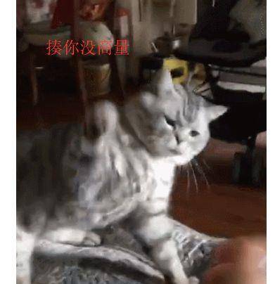 a31e0431db264e09944608a72651bb87.jpeg