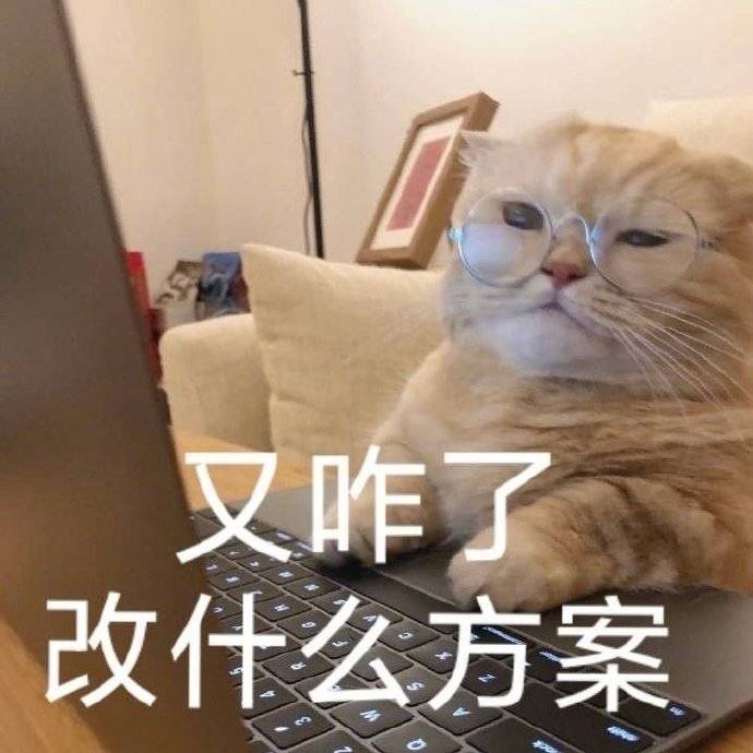 差不多|搞笑GIF：你把衣服脱下来，我帮你洗吧！