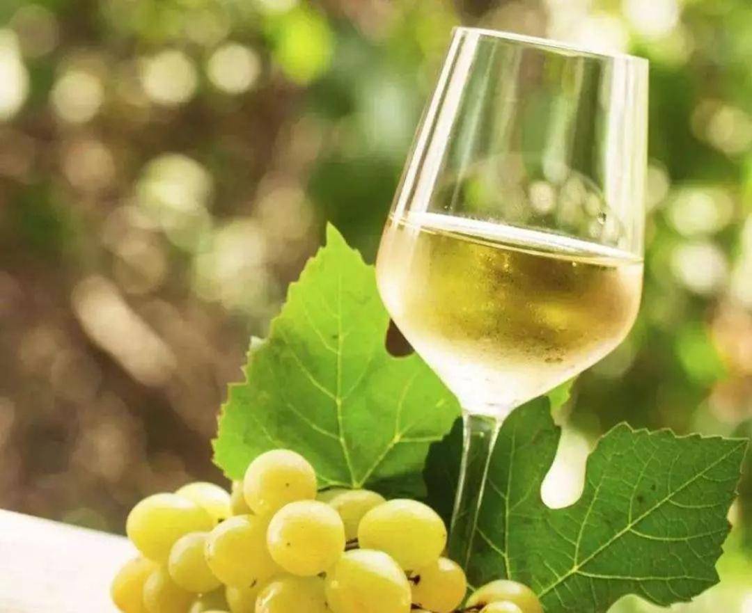 选择项|年轻人到底喜欢什么样的葡萄酒?来听听,答案其实很简单