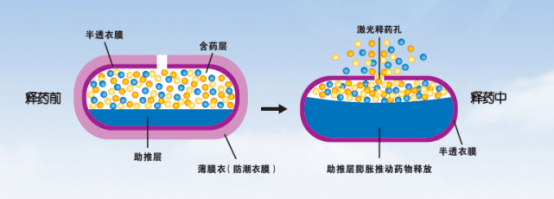 制剂|等效价优！百洋制药高端仿制药硝苯地平控释片正式上市