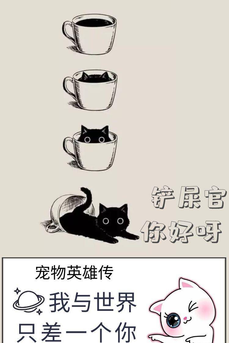 3c7d29a914674c78a2a64762fdeb6623.jpeg