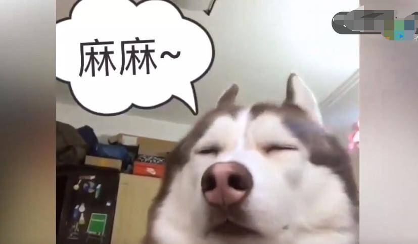 6a9c77db27004960a4ad0472410999cc.jpeg