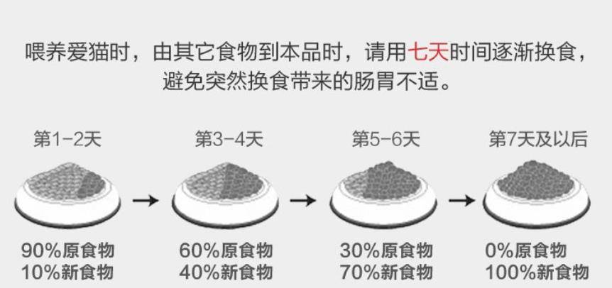 猫咪|猫咪长寿的秘诀,这些事情你做对了吗?