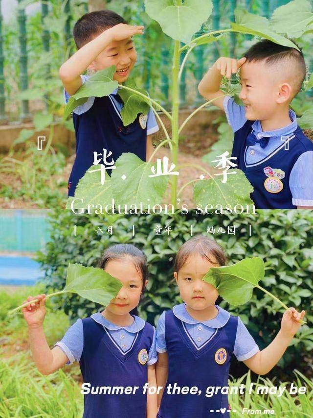 幼儿园|幼儿园大班毕业照片:毕业不说再见~