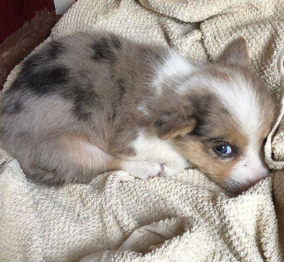 什么|它长得“好奇怪”，要不说还真不知道它是……