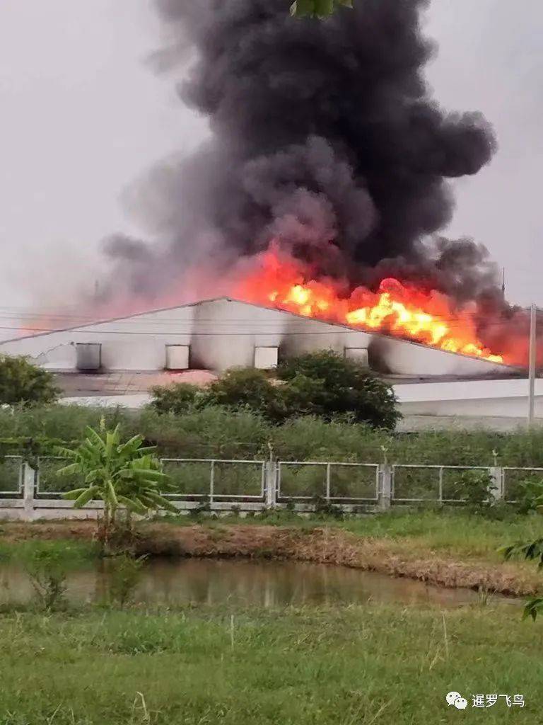 泰国曼谷化工厂连环爆,相隔不到20公里_爆炸