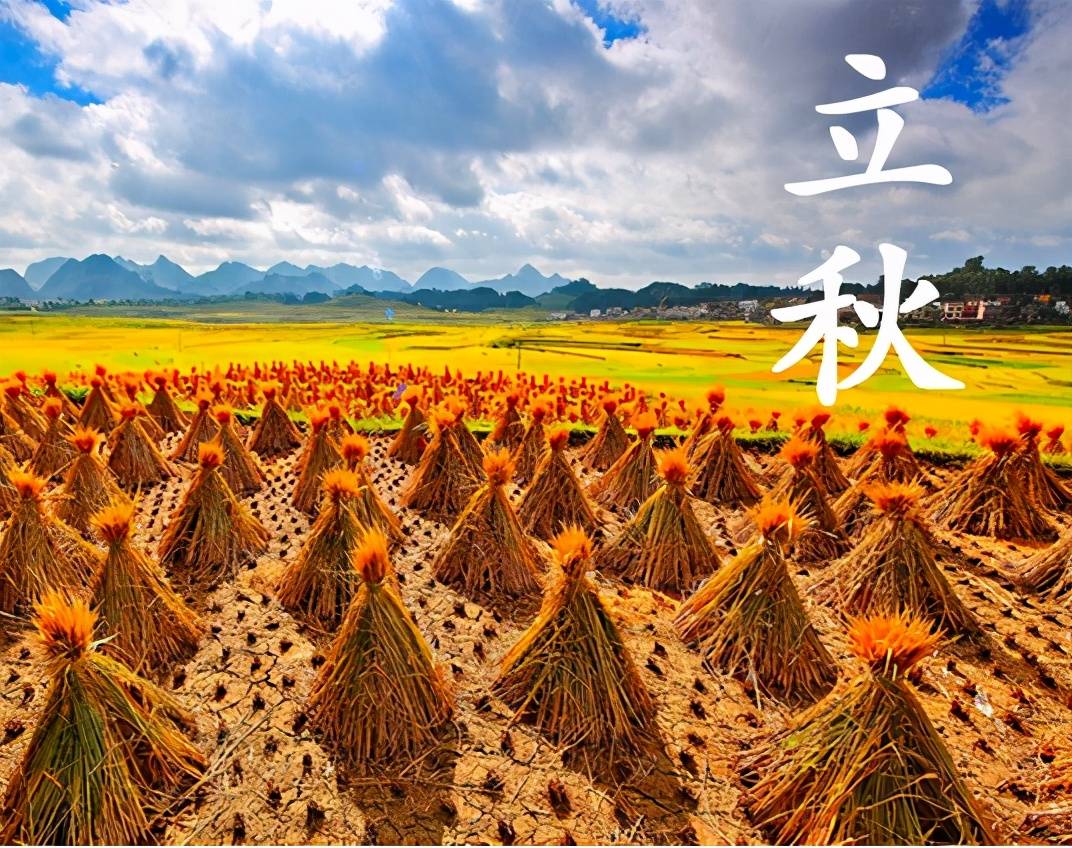 立秋是二十四节气中的第13个节气,是秋季的第一个节气,于每年公历的8