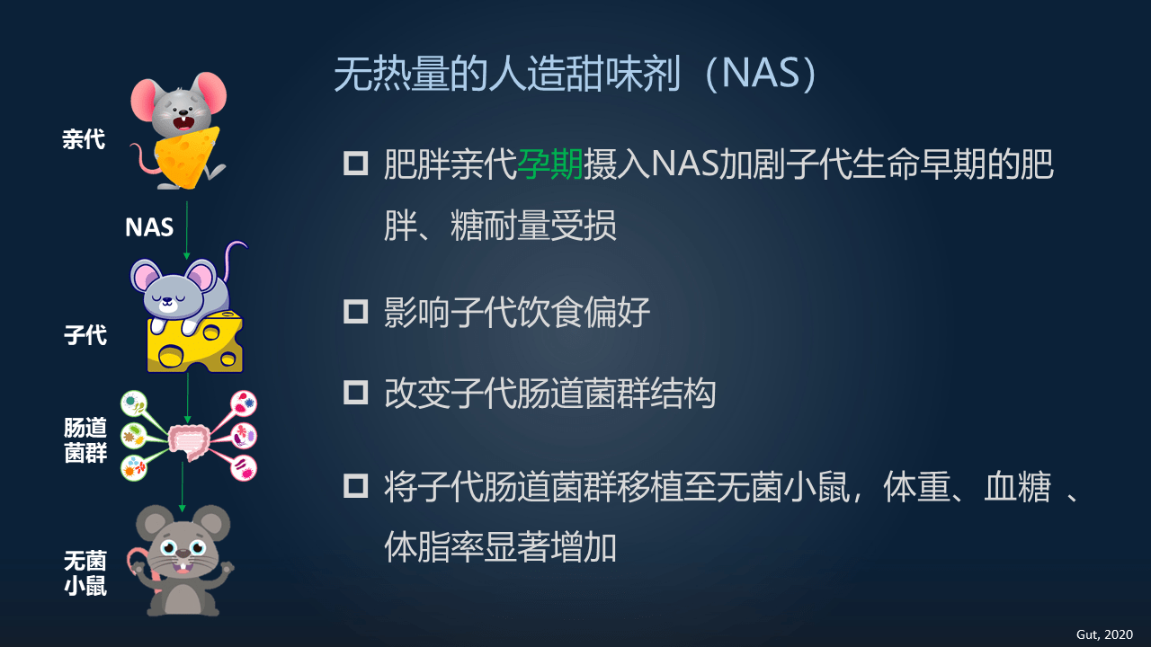 張展17分鐘一覽食品添加劑與腸道菌群的情仇