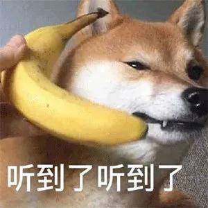 代抗|@“过敏星人”，两种常见抗过敏药，你了解吗？