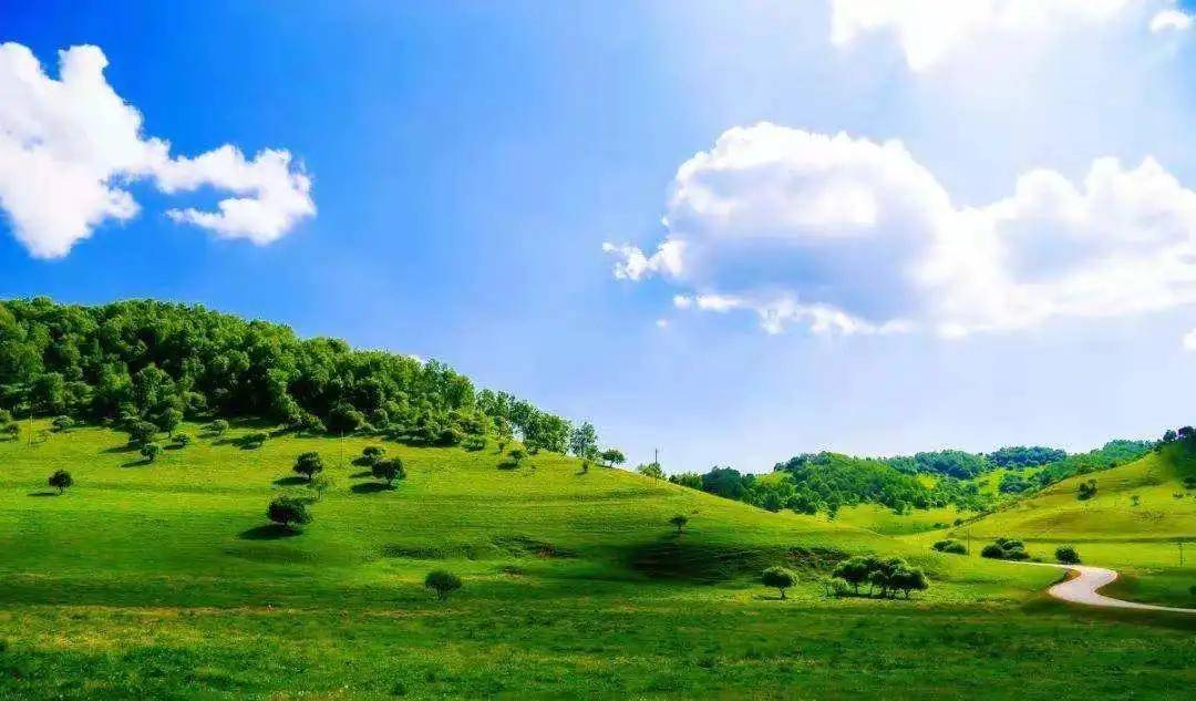 夏日来|夏日来关山草原，收获整个世界的温柔！