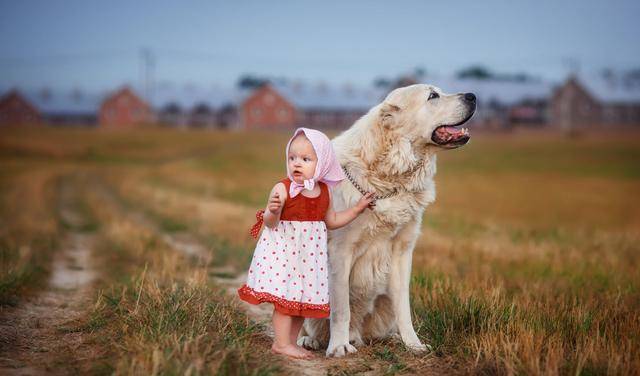 a7e7a7c29a49428a9fdcfb4731533b8f.jpeg