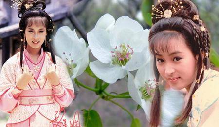 离开梁朝伟后,黎美娴潇洒踏进豪门,却至今都不曾要孩子_曾华倩