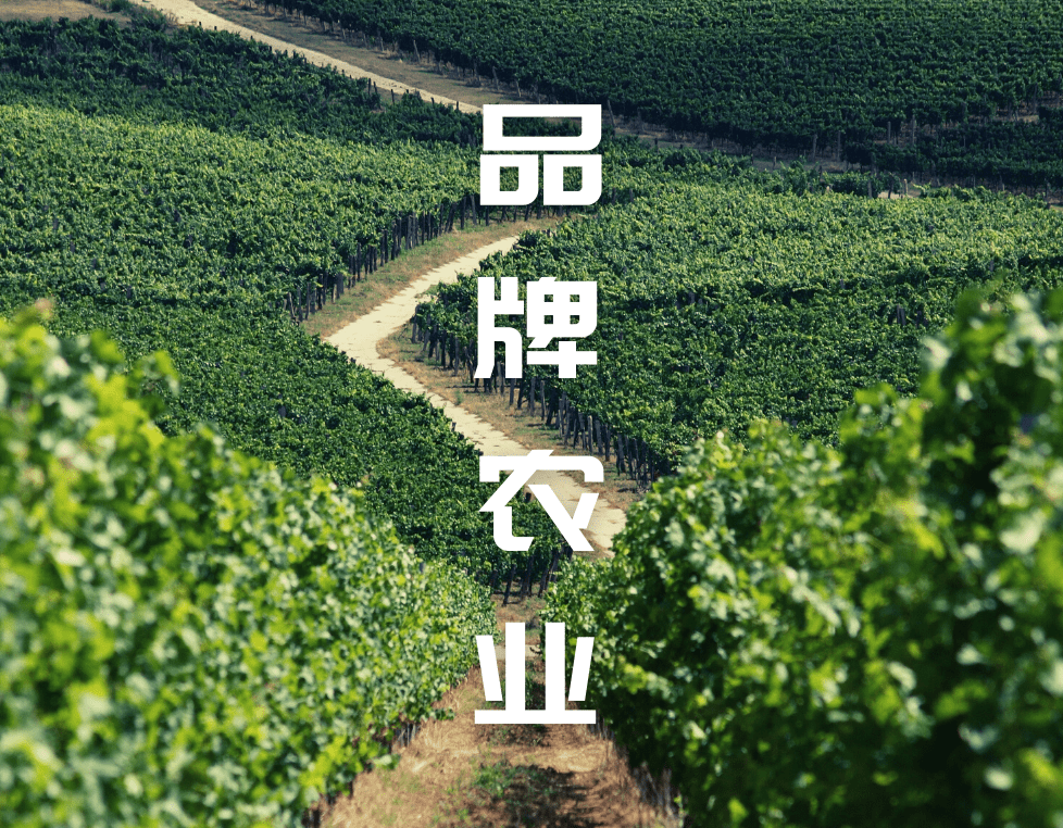 e29a6ca601e846ed997f055d8ca612ac.png