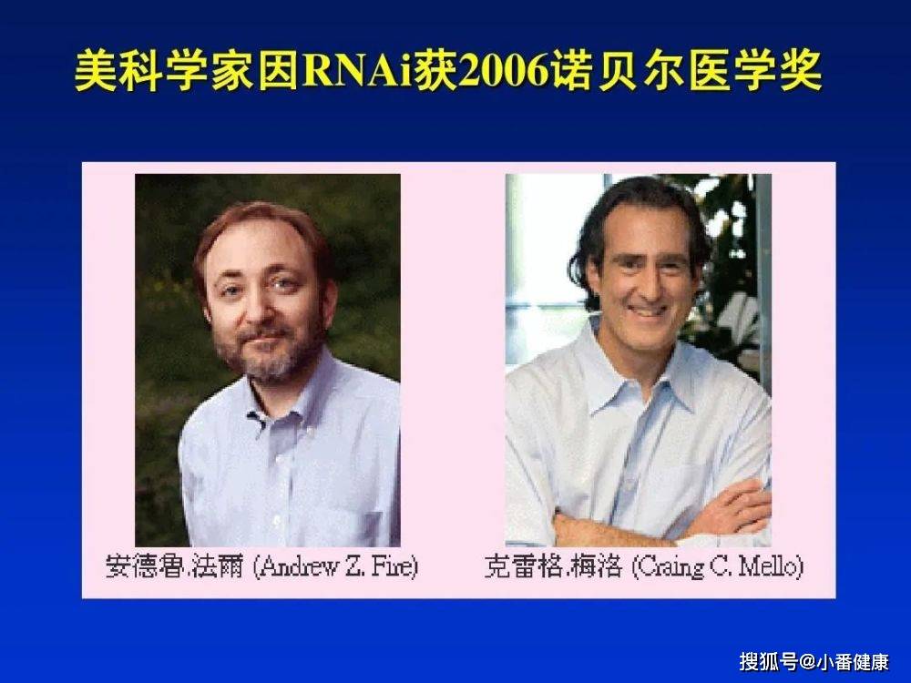 数据|乙肝在研新药JNJ-3989+NA，2a期数据，可以有效降低所有标志物