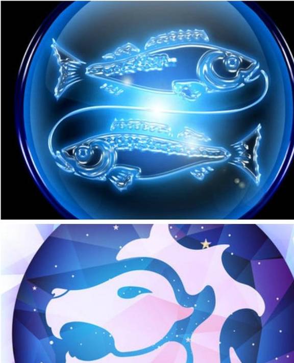 星座怎么分火象 fe92517989bc4b79a162cec3bdea044a.jpeg