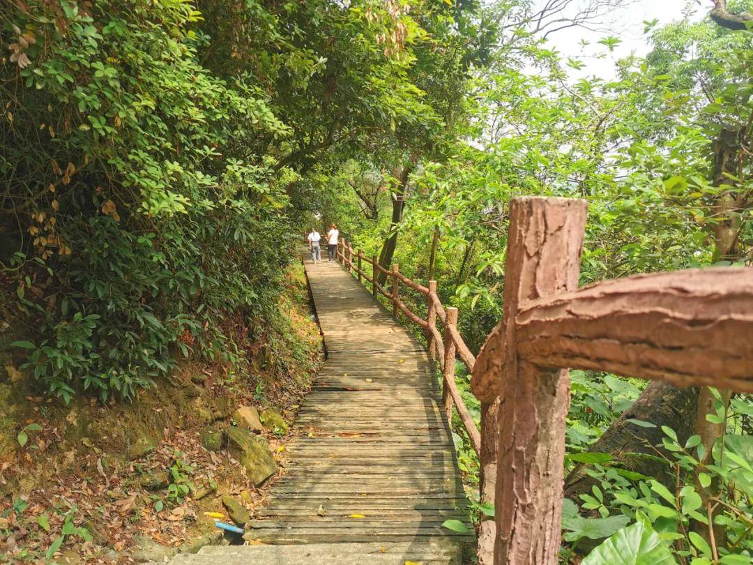 始建于1902年的中山这个公园你去过吗