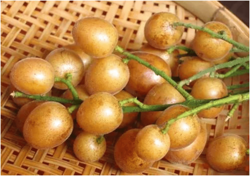 比较降火的水果 009fc1af7b5a4b2d99f725bd54c55e4d.png