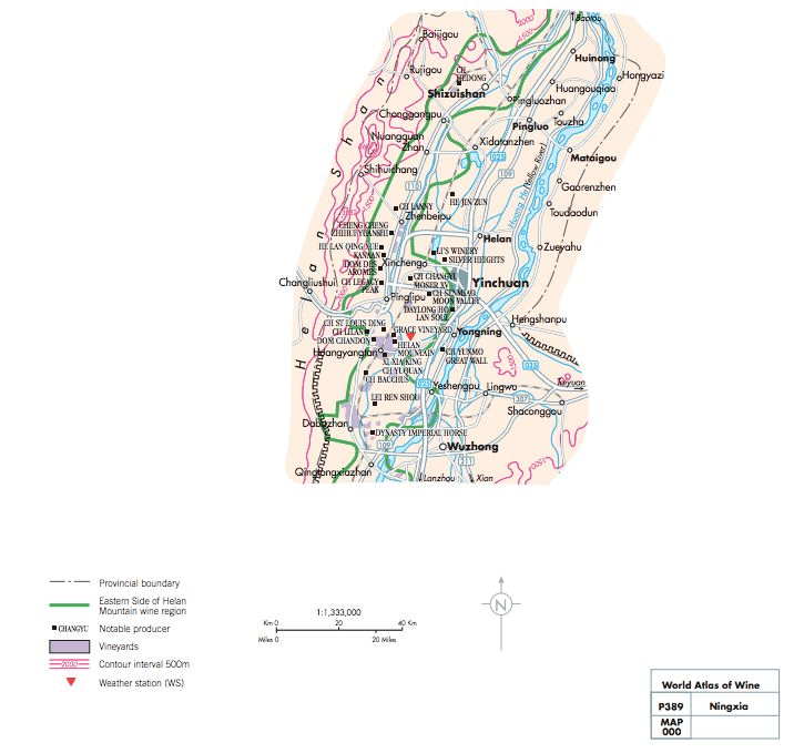 文化|“我爱银川”霸屏巴黎、纽约、首尔等五大城市!