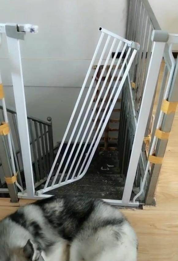 观点评论|不知道这6根铁链能否锁住这妖兽，网友：金刚伏魔锁妖大阵？