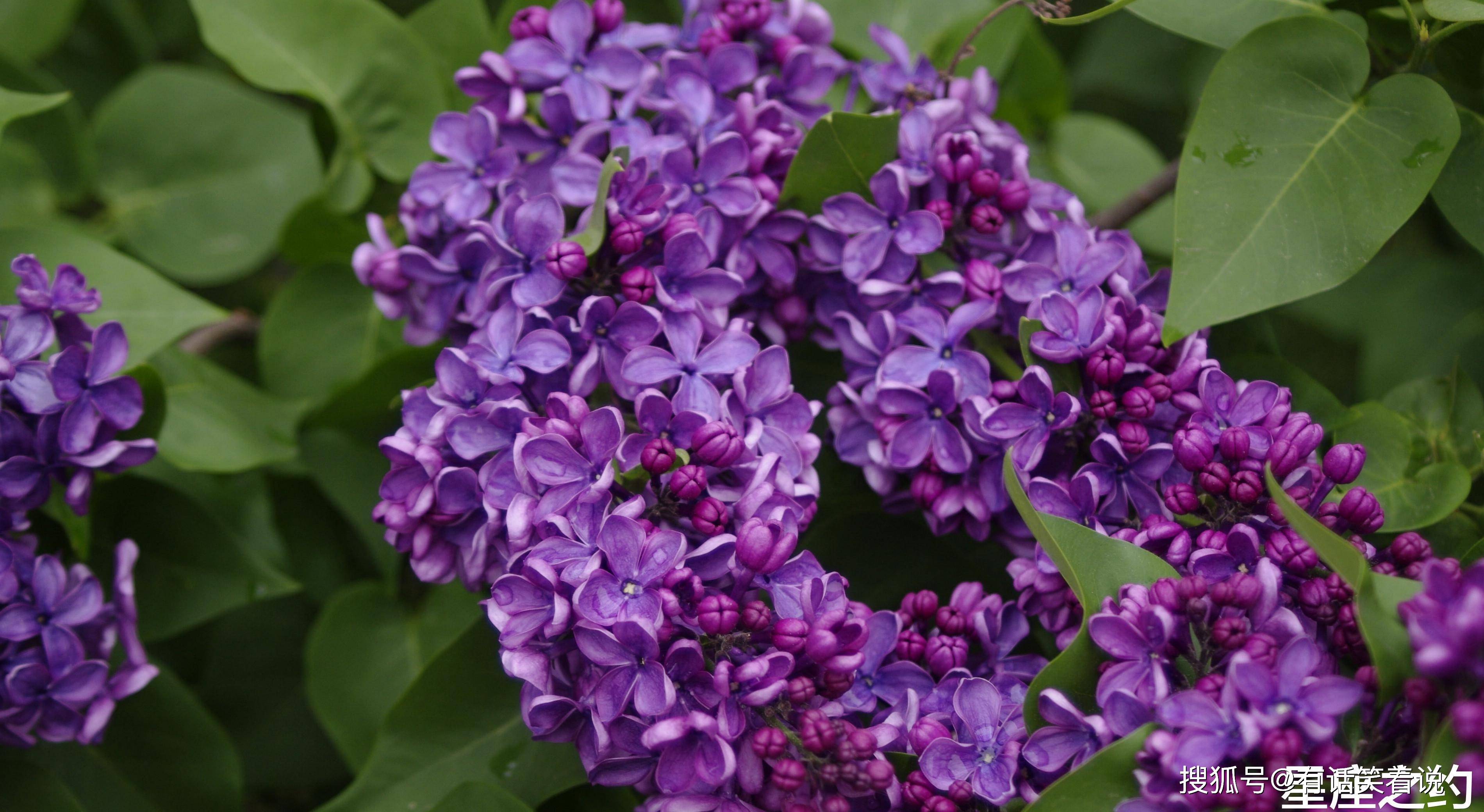 10月17日星座运势迎接挑战 努力拼搏的四大星座 对方 10月17日星座运势迎接挑战 努力拼搏的四大星座 对方