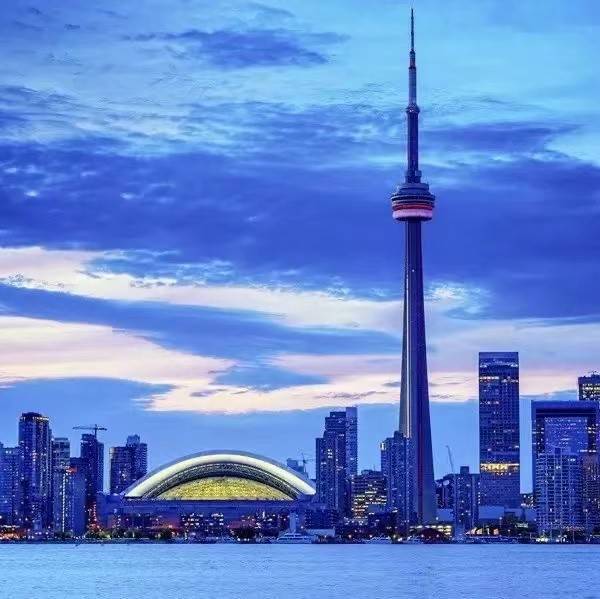 Vol|【齐韵国际葡萄酒】全网最全的葡萄酒界吉尼斯纪录大盘点