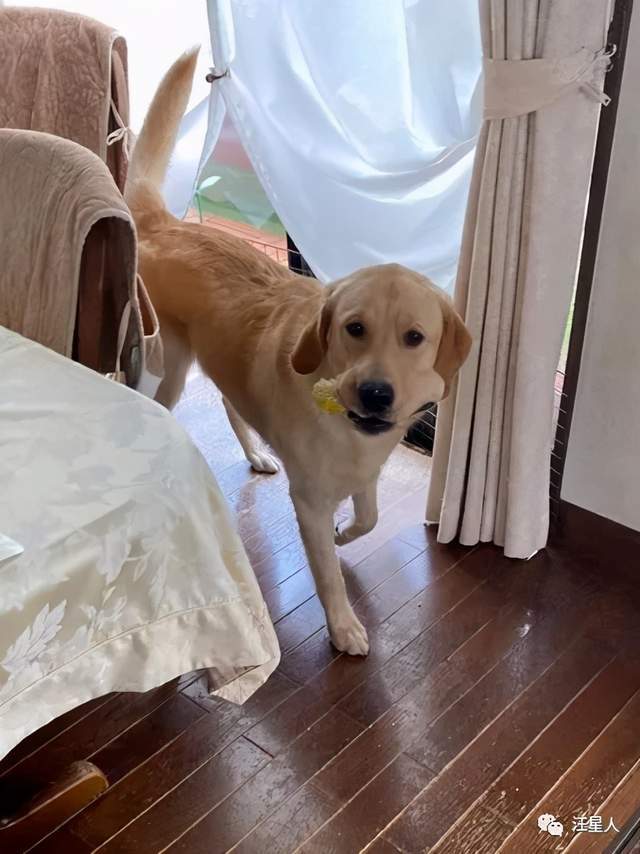f7edd954c4004af69828d05f3e6ea1b2.jpeg