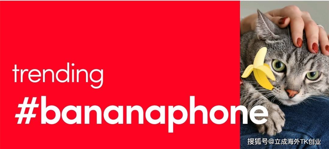 tiktok热度排行 39a2897ee73e4a1d8c765e4705bab50a.jpeg