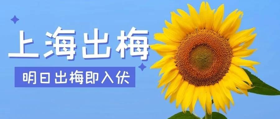 4d201aa72b084941854ecb1bc8e8a6fb.jpeg