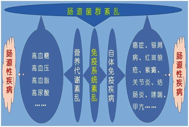 治疗|2型糖尿病重建案例分析:4年病史,停胰岛素,血糖从19降到5.6