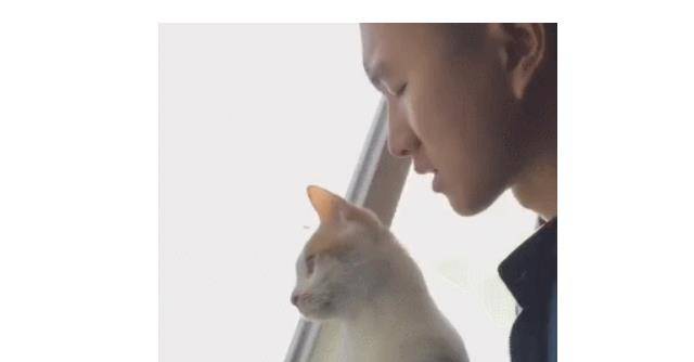 猫喜欢亲近有福气的人 2bdab3120a3e49f9bb0eb96dda4bd965.jpeg