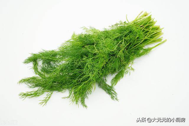 哪些菜适合放茴香 59198fe4e6164879b4db811c75c6986e.jpeg