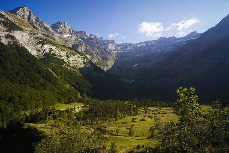 葡萄藤|LivingWines葡萄酒小课堂 | 葡萄藤也能做人质?喜剧都不敢这么编!