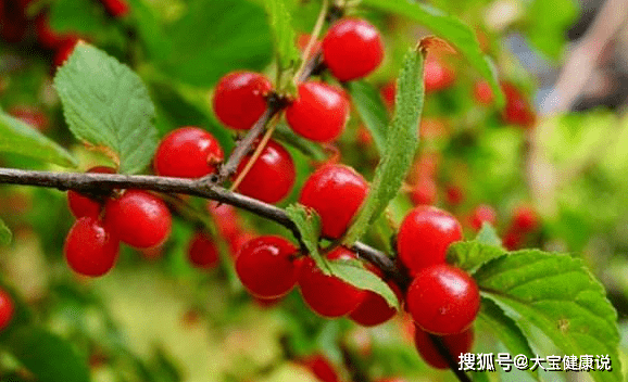 气血|立冬后，睡前当零食吃几颗，失眠好了，气血足了，还可防子宫肌瘤