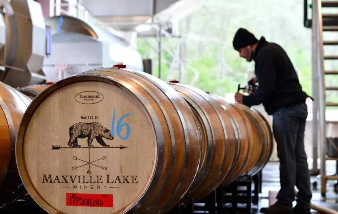 绮丽|【7.28-30 Interwine】马克斯威酒庄——美国纳帕的“谷中之谷”酒庄