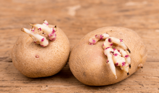 肝脏|登录 肝脏好不好,看脸就知晓?医生:若没有3种表现,肝还比较不错