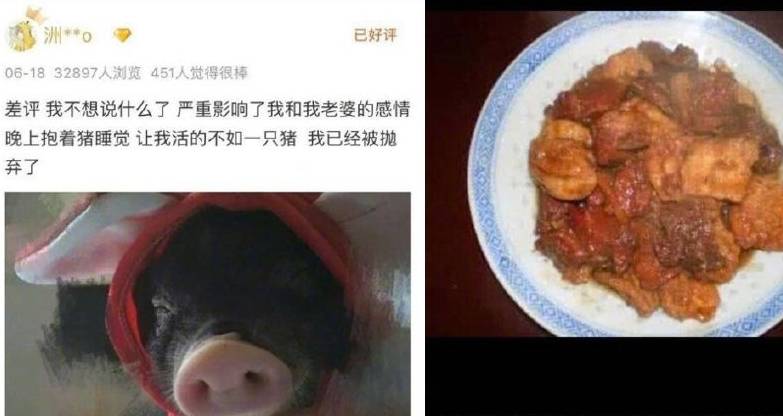 口袋|淘宝奇葩买家秀,比差评还要“猛烈”的评价,店家表示哭晕在厕所