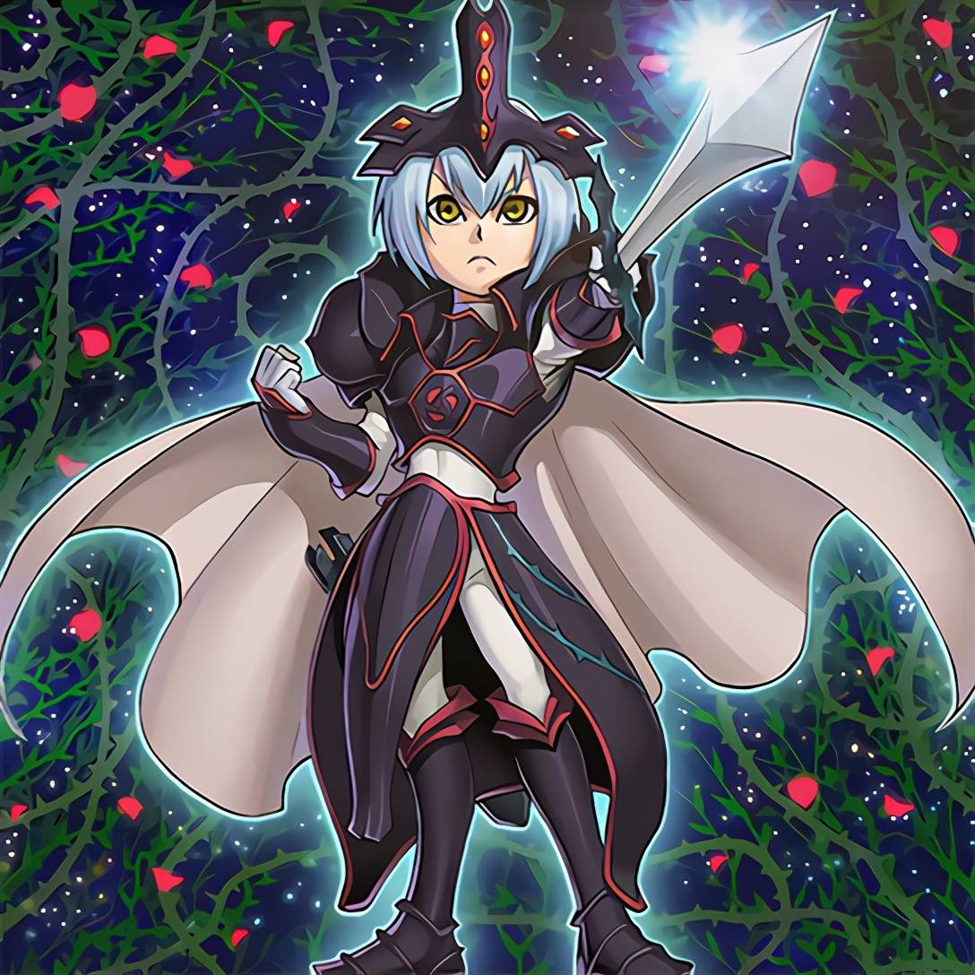 龙珠友情客串游戏王战士族调整怪兽的得益卡气魄之力