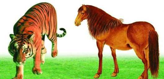 玄机妙算属虎最佳婚配表和什么属相最佳配偶