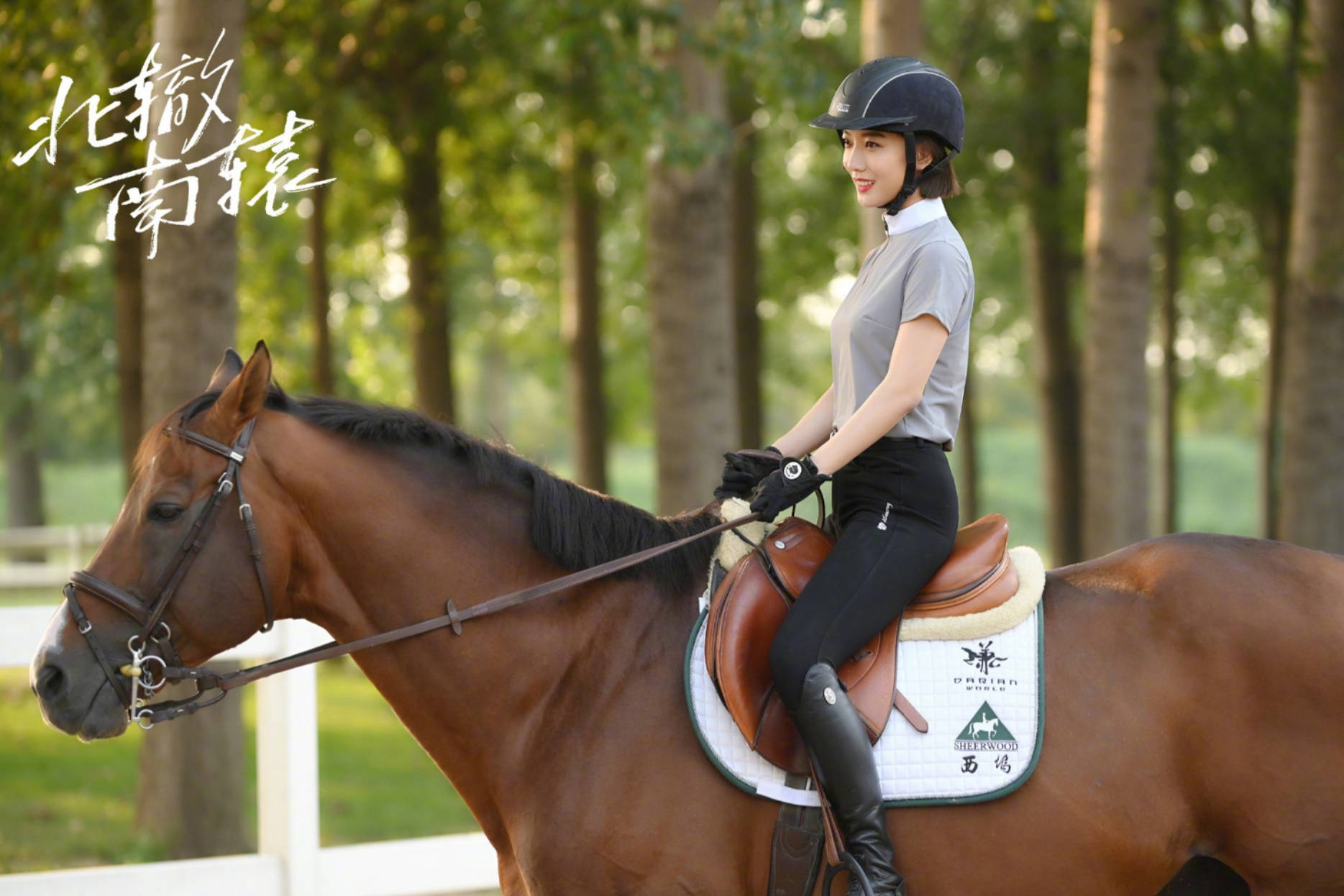 米莱|冯小刚执导电视剧《北辙南辕》，收获了不错的收视率。尽管有一些质疑的声音。