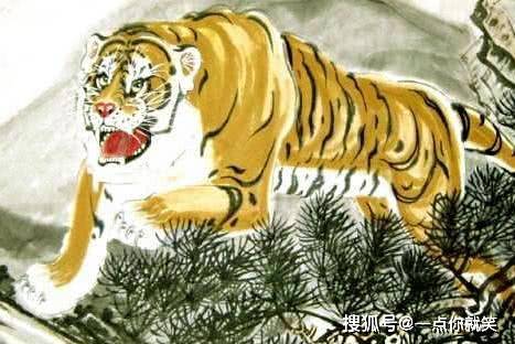 生肖虎、生肖蛇属蛇人和属虎人是有些不太容易合得来的一对夫妻,他们看