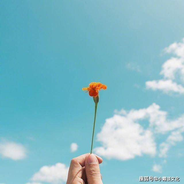 c46eeecfee4345c187f105f76d6dcd37.jpeg