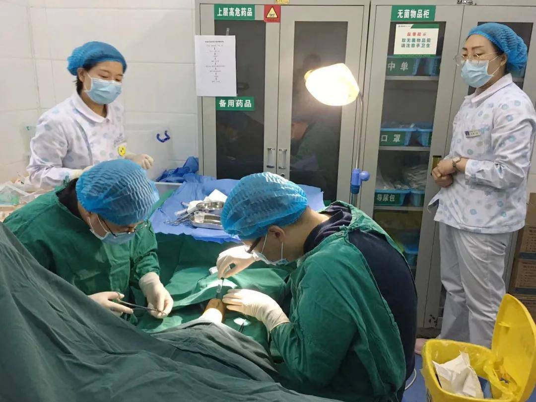 岚皋县|支医岚皋县创多项“首例” 留下带不走的“医疗队”