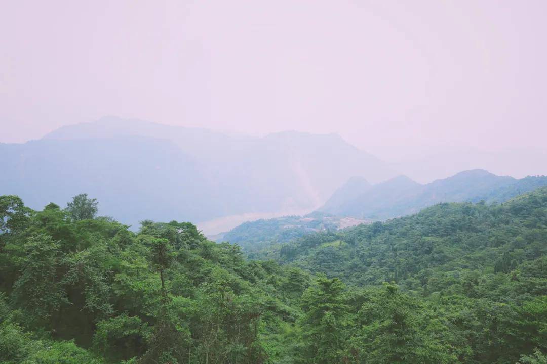 458e288ef5f2476f8d3fd44ff3290a3e.jpeg