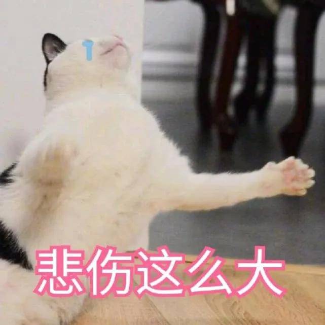 拉丝|杨幂真练出肌肉了？！麒麟臂+拉丝腿，分手后光速回春实锤了吧？