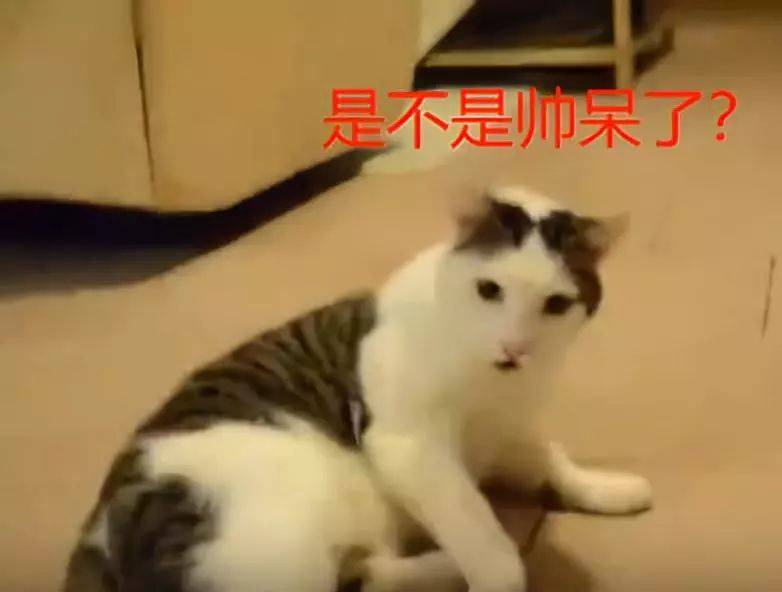 04ee87dd1226436fbb6d4b82769c7538.jpeg