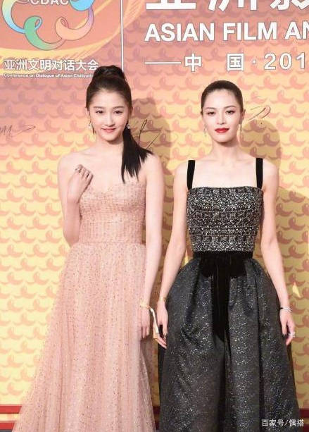 小个子|沈月红毯生图曝光!穿灰色纱裙意外撞衫杨紫,网友:这就尴尬了