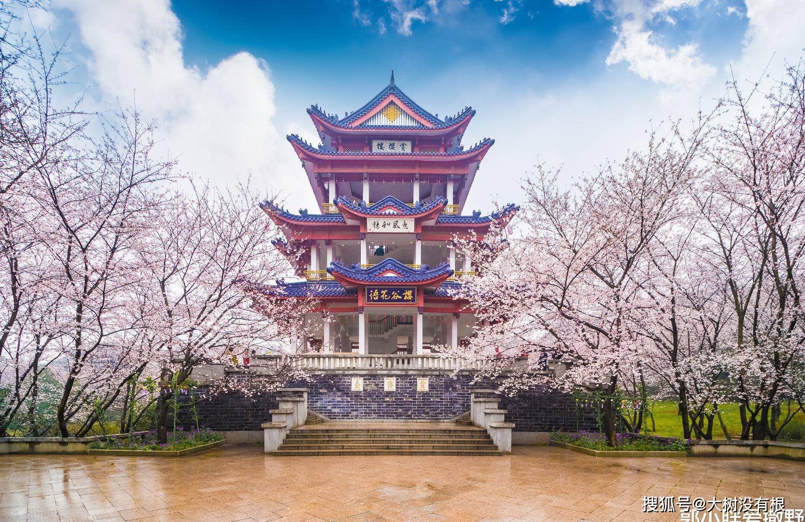 唯一能与日本媲美的赏樱地，就在无锡，坐拥国内最大樱花园